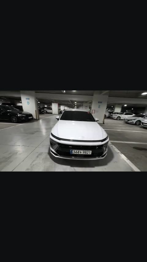 Hyundai Sonata и Santa Fe · Омск · Александр